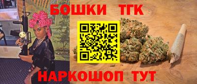 индика Гай